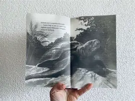 Illustratie uit het boek